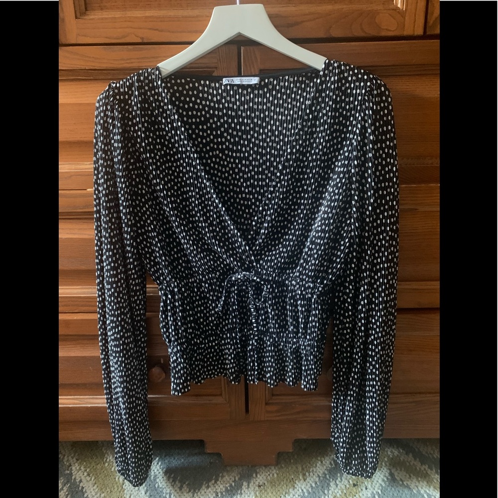 Zara Polka Dot Blouse